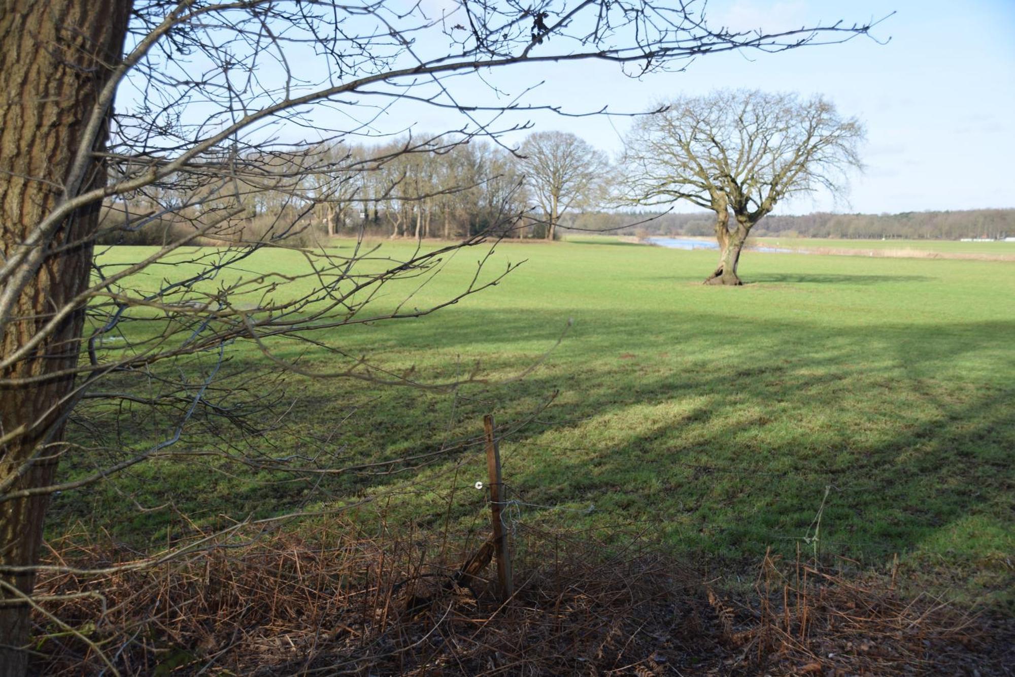 Vakantiehuis De Veldhoen Vrijgelegen Nabij De Rivier De Vecht Beerze エクステリア 写真