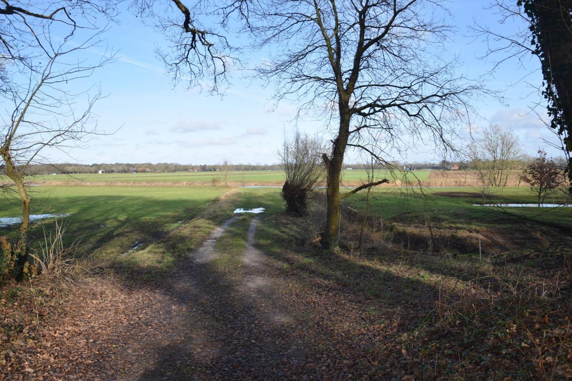 Vakantiehuis De Veldhoen Vrijgelegen Nabij De Rivier De Vecht Beerze エクステリア 写真