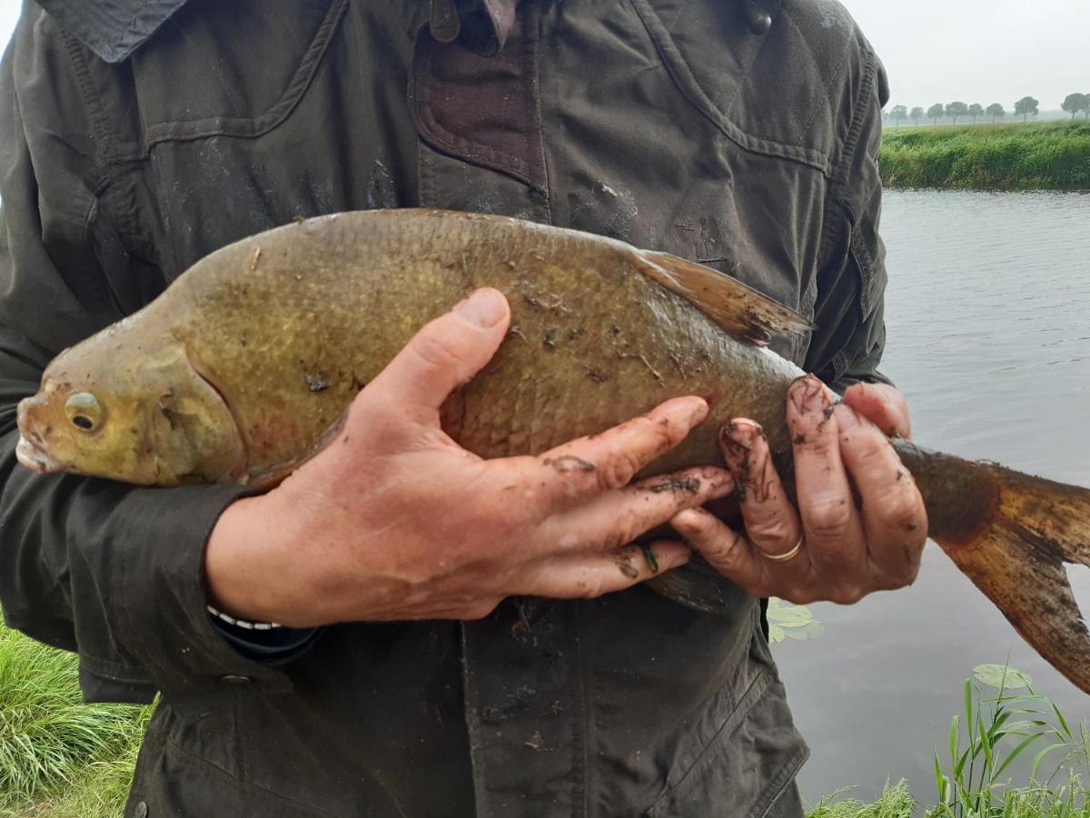 Vakantiehuis De Veldhoen Vrijgelegen Nabij De Rivier De Vecht Beerze エクステリア 写真